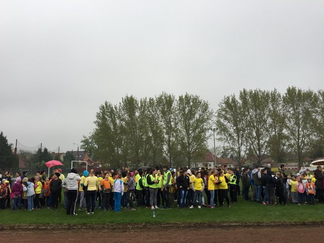 Nárcisz futás 2017 20